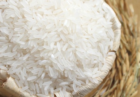 Premium Jasmine Rice